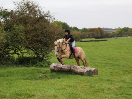 Family Riding in New Forest